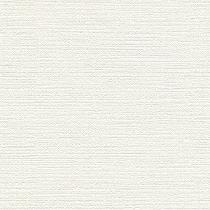 BA7080 シンコール 93cm巾 BIGACE 壁紙 クロス 準不燃