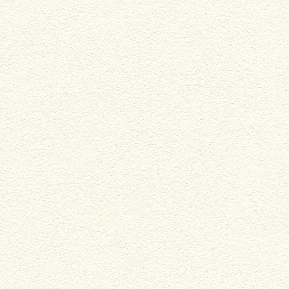 BA7091 シンコール 93cm巾 BIGACE 壁紙 クロス 準不燃