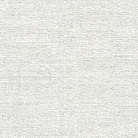 BA7308 シンコール 93cm巾 BIGACE 壁紙 クロス 準不燃
