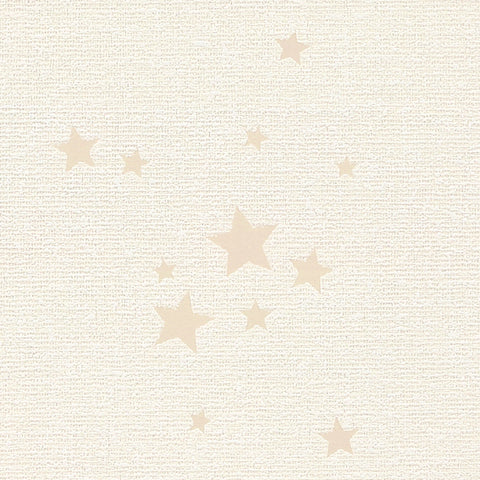 BA7424 シンコール 93cm巾 BIGACE 壁紙 クロス 準不燃