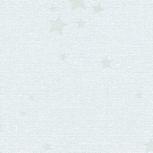 BA7425 シンコール 93cm巾 BIGACE 壁紙 クロス 準不燃