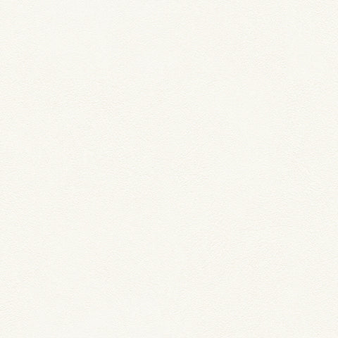 BB2023 シンコール 93cm巾 BIGACE 壁紙 クロス 準不燃
