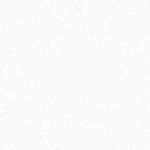 BB2053 シンコール 93cm巾 BIGACE 壁紙 クロス 準不燃