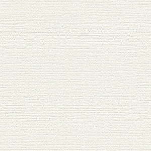 BB2067 シンコール 93cm巾 BIGACE 壁紙 クロス 準不燃