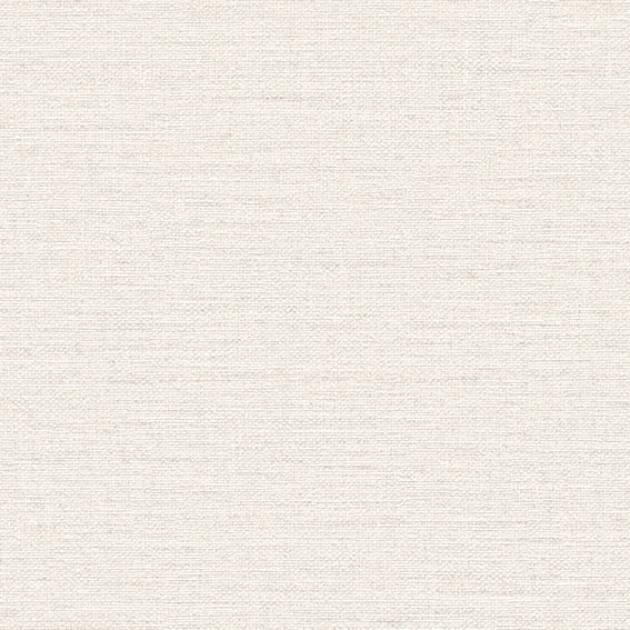 BB2096 シンコール 93cm巾 BIGACE 壁紙 クロス 準不燃
