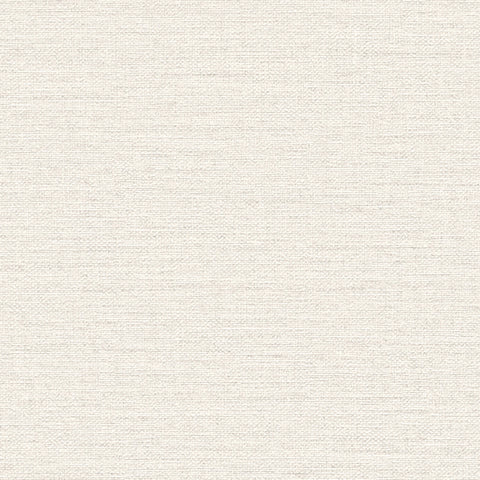 BB2096 シンコール 93cm巾 BIGACE 壁紙 クロス 準不燃