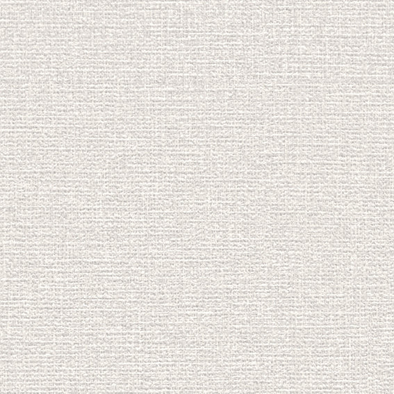 BB2101 シンコール 93cm巾 BIGACE 壁紙 クロス 準不燃
