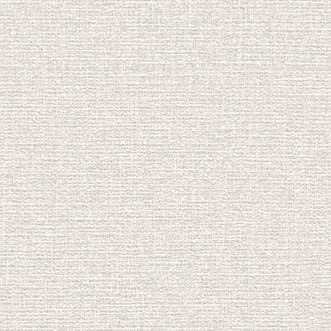BB2101 シンコール 93cm巾 BIGACE 壁紙 クロス 準不燃