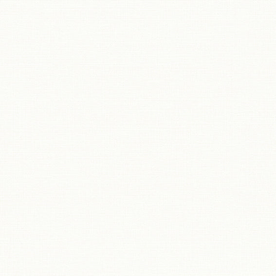 BB2107 シンコール 93cm巾 BIGACE 壁紙 クロス 準不燃