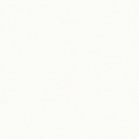 BB2107 シンコール 93cm巾 BIGACE 壁紙 クロス 準不燃