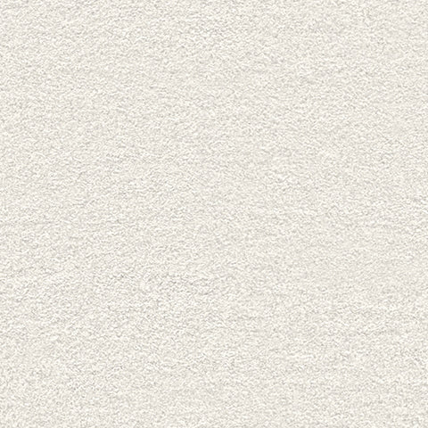 BB2130 シンコール 93cm巾 BIGACE 壁紙 クロス 準不燃