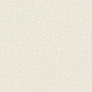 BB2137 シンコール 93cm巾 BIGACE 壁紙 クロス 準不燃