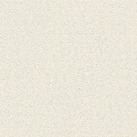 BB2137 シンコール 93cm巾 BIGACE 壁紙 クロス 準不燃