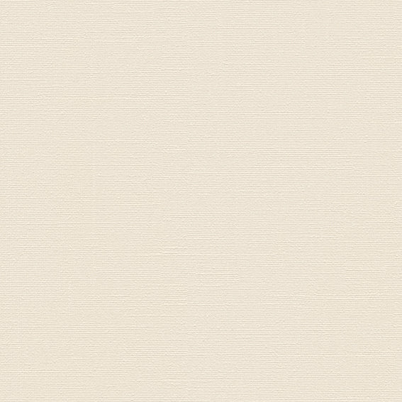 BB2143 シンコール 93cm巾 BIGACE 壁紙 クロス 準不燃