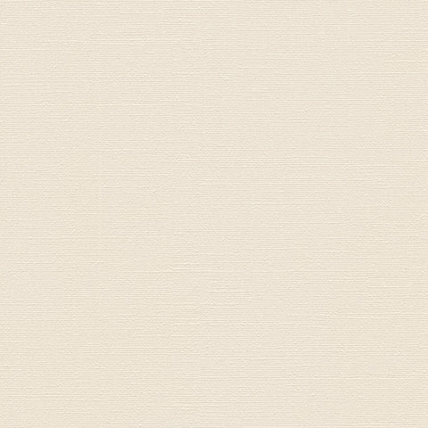 BB2143 シンコール 93cm巾 BIGACE 壁紙 クロス 準不燃