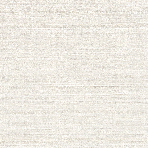 BB2146 シンコール 93cm巾 BIGACE 壁紙 クロス 準不燃