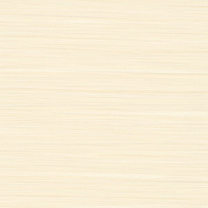 BB2147 シンコール 93cm巾 BIGACE 壁紙 クロス 準不燃