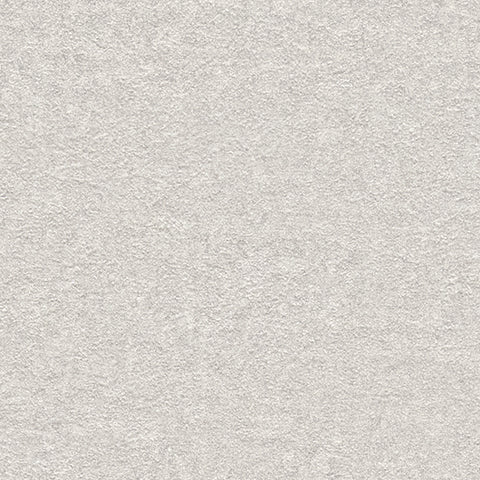 BB2165 シンコール 93cm巾 BIGACE 壁紙 クロス 準不燃