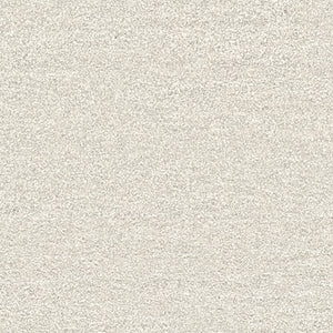 BB2180 シンコール 93cm巾 BIGACE 壁紙 クロス 準不燃