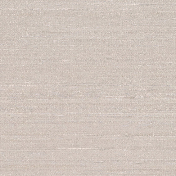 BB2219 シンコール 93cm巾 BIGACE 壁紙 クロス 準不燃