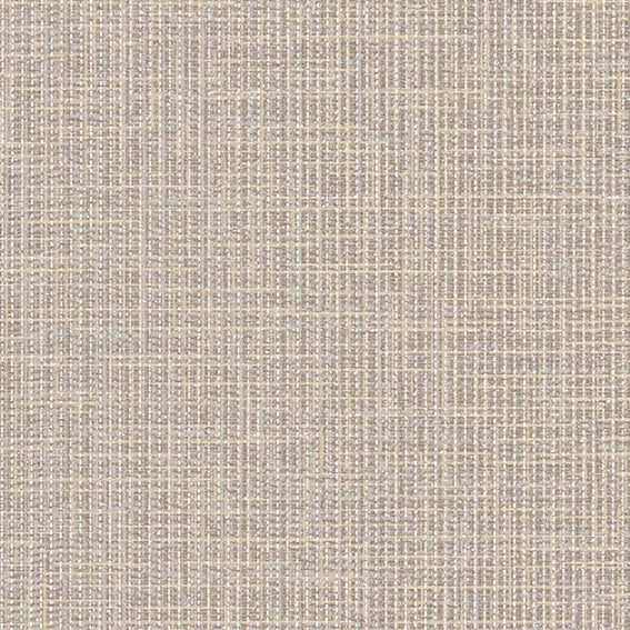 BB2220 シンコール 93cm巾 BIGACE 壁紙 クロス 準不燃