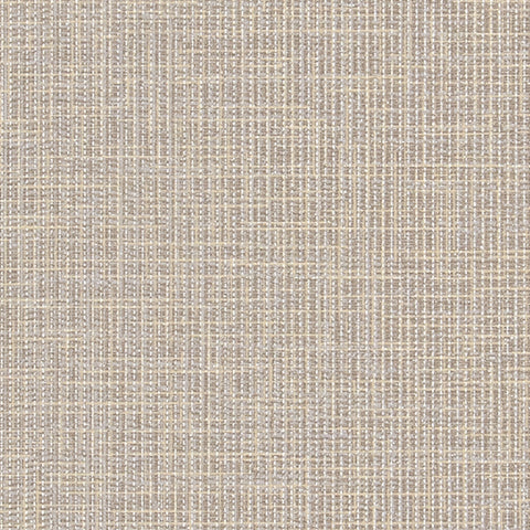 BB2220 シンコール 93cm巾 BIGACE 壁紙 クロス 準不燃