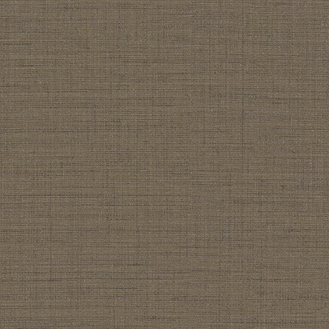 BB2231 シンコール 93cm巾 BIGACE 壁紙 クロス 準不燃