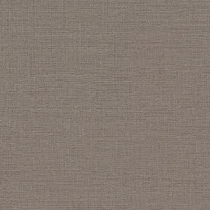BB2244 シンコール 93cm巾 BIGACE 壁紙 クロス 準不燃