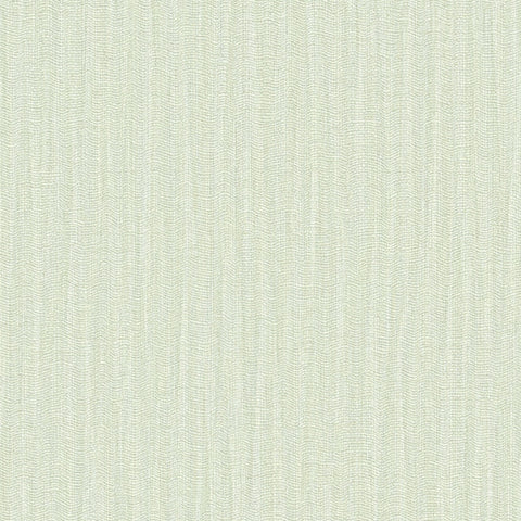 BB2294 シンコール 93cm巾 BIGACE 壁紙 クロス 準不燃