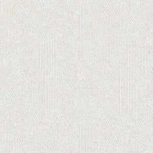 BB2578 シンコール 93cm巾 BIGACE 壁紙 クロス 準不燃