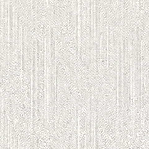 BB2578 シンコール 93cm巾 BIGACE 壁紙 クロス 準不燃