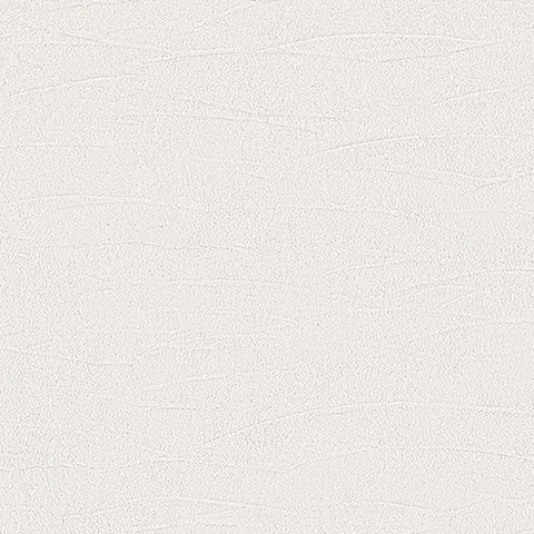 BB2646 シンコール 93cm巾 BIGACE 壁紙 クロス 準不燃
