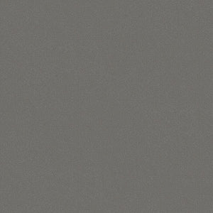 CF3775  P NW 東リ 2.3mm厚 182cm巾 住宅用クッションフロア ペット可